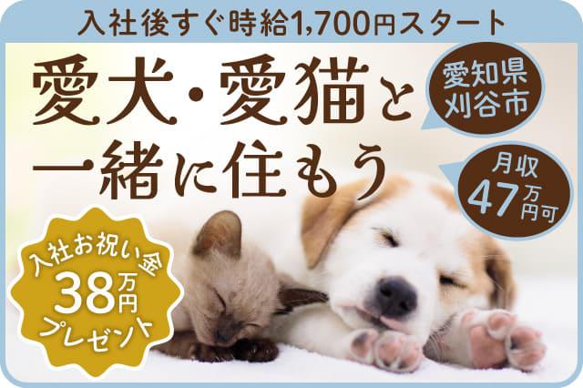 愛犬・愛猫と一緒に住める『ペット寮』完備❤】入社お祝い金として総額48万円プレゼント☆月収47万円可☆部品の組立作業☆ |  寮付きの仕事探しはシゴトクラシ.com